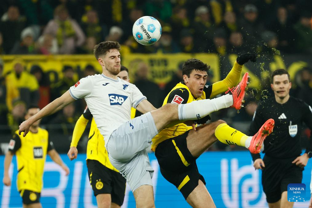 borussla(borussla dortmund)